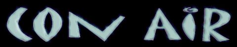 conair.jpg (7474 Byte)